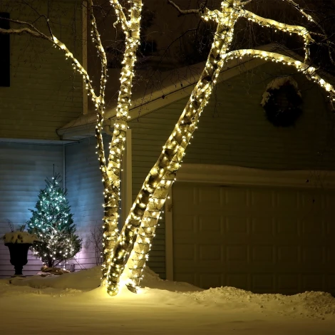 Гирлянда Eurosvet 400-102 теплый белый