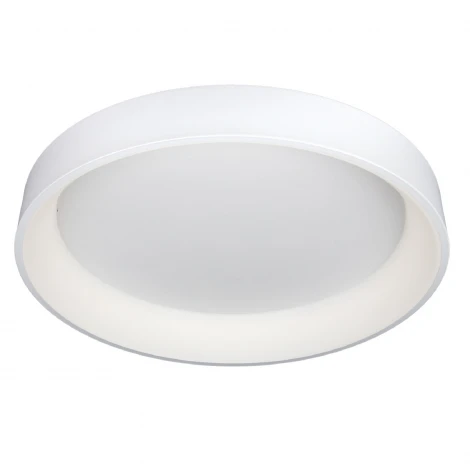 Потолочный светильник Omnilux Ortueri OML-48507-96