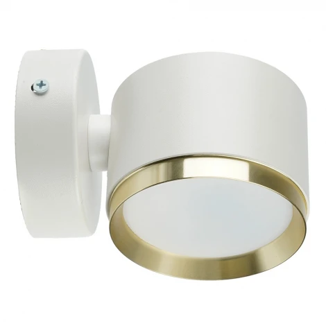 Спот Feron HL4598 52020