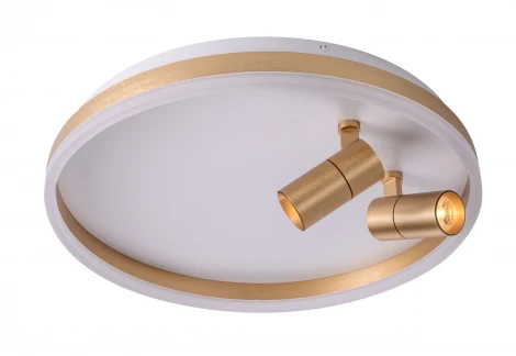 Потолочный светильник круглый со спотами Zortes Raizy ZRS.1888.02 (LED, 220V, круглые)