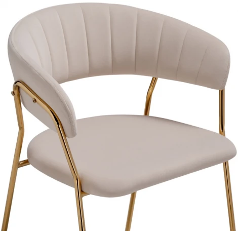 Стул Woodville на металлокаркасе Kamelia 1 beige / gold 15469