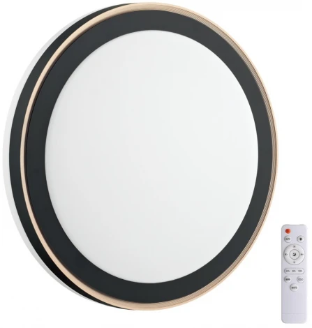 Настенно-потолочный светильник Akuna 7620/DL (регулировка яркости, LED, 220V, пульт управления, круглые, IP43)