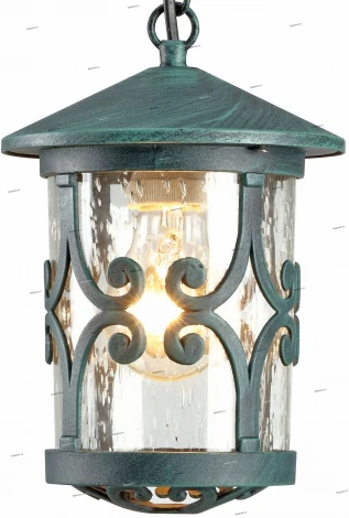 Уличный светильник подвесной Arte Lamp Persia A1455SO-1BG