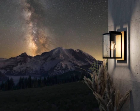 Настенный фонарь уличный Eglo BUDRONE 900289 (220V, IP44)