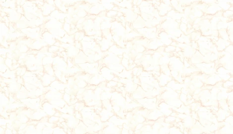 Обои виниловые Marburg Project 31738 10,05 x 0,53 м