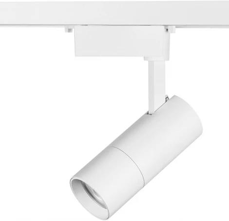 Трековый светильник Lightstar Volta 229346 (LED, 220V, круглые)