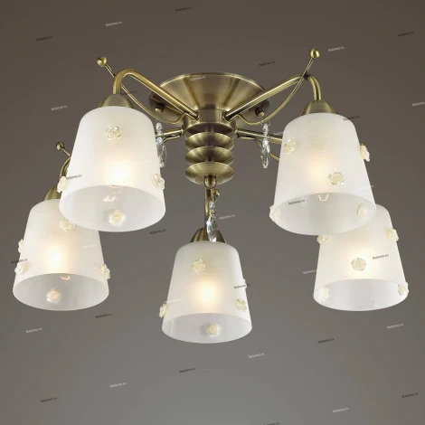 Потолочная люстра Lumion Sipriano 3389/5C