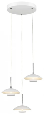 Подвесной светильник Wertmark Pilze WE435.03.006