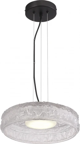 Подвесной светильник ST Luce Antike SL6143.403.01 черный/прозрачный LED 1*15W 4000K (220V, на тросе, круглые)