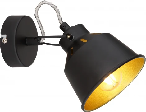 Спот Rivoli Evelyn 7064-701 (220V)