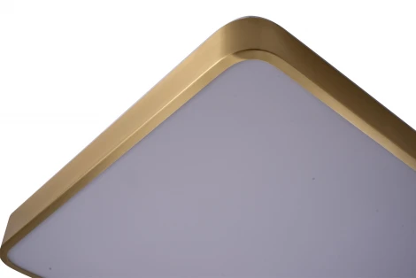 Потолочный светильник Zortes Monna ZRS.1209.03 (LED, 220V)