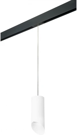 Трековый светильник однофазный 220V Lightstar Rullo PRORP648686 (круглые)