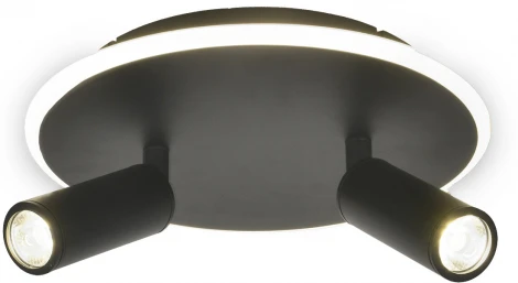 Настенно-потолочный светодиодный светильник 20046LED 20046SMA/02LED BK 28Вт, металл/акрил, черный