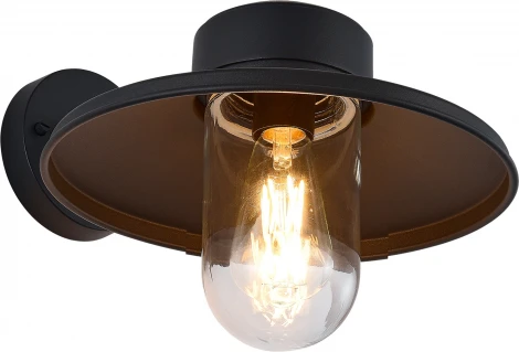 Настенный уличный светильник ST Luce Basko SL9542.701.01 темно-серый/прозрачный E27 1*60W