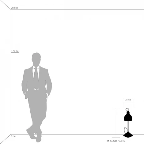 Офисная настольная лампа Lightstar Loft 765917 (220V, выключатель)
