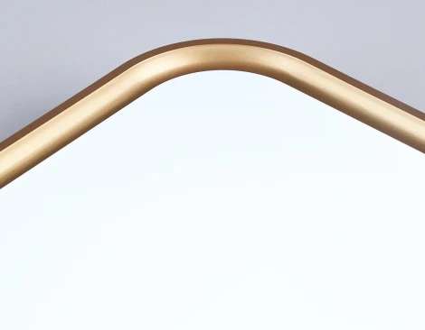 Потолочный светильник светодиодный Ambrella Orbital FZ1253 (220V)