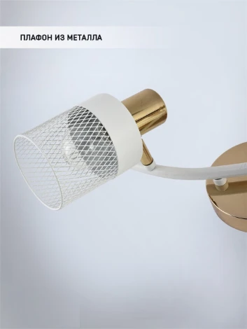 Спот Seven Fires Felikian SF4704/2W-FGD-WT