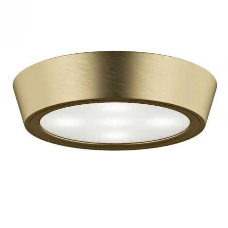 Потолочный светильник круглый Lightstar Urbano Mini 214714 (LED, 220V, IP65)