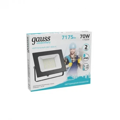 Прожектор уличный Gauss Elementary 613100270 (LED, 220V, IP65)