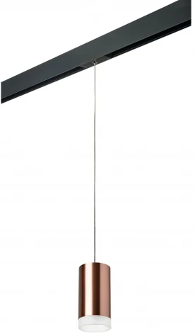 Трековый светильник однофазный 220V Lightstar Rullo PRORP430430 (круглые)