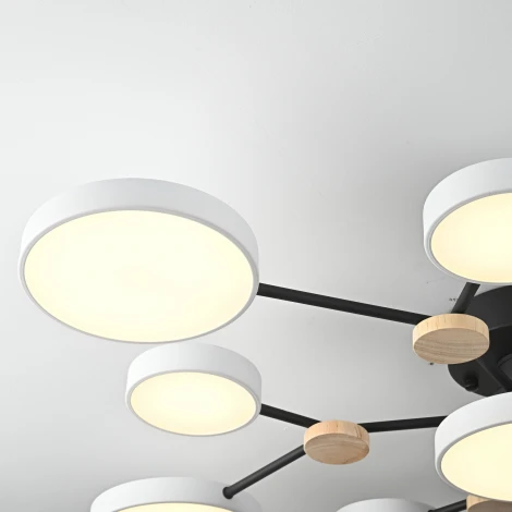 Потолочная люстра с пультом на штанге LED Lu Carte LC-11-1716