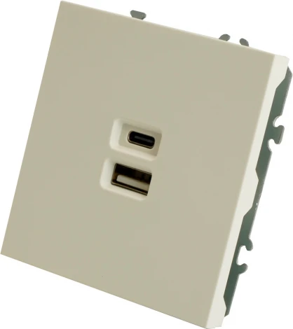Розетка USB Type A+С (белый) Stekker Эмили 49879