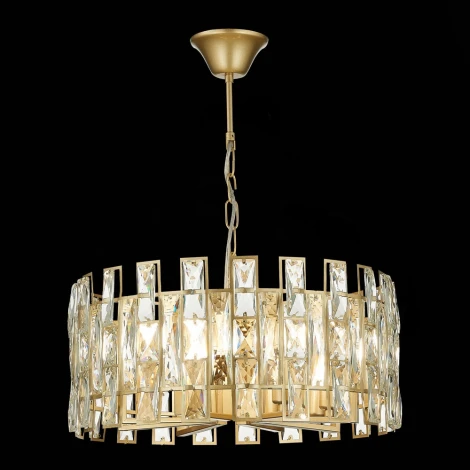 Подвесная люстра ST Luce Anzio SL1626.203.08