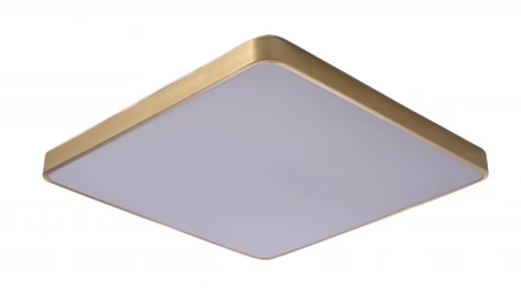 Потолочный светильник Zortes Monna ZRS.1209.07 (LED, 220V)