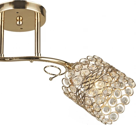 Потолочная люстра на штанге Reluce 04481-0.3-02 FGD (220V)