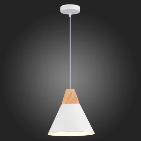 Подвесной светильник Evoluce Modica SLE125103-01