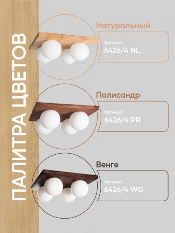 Потолочный светильник прямоугольный Мелодия Света SS1N 000036806