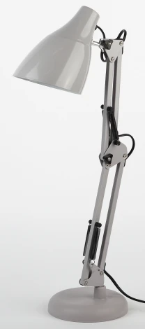 Офисная настольная лампа ЭРА N-123 N-123-Е27-40W-GY