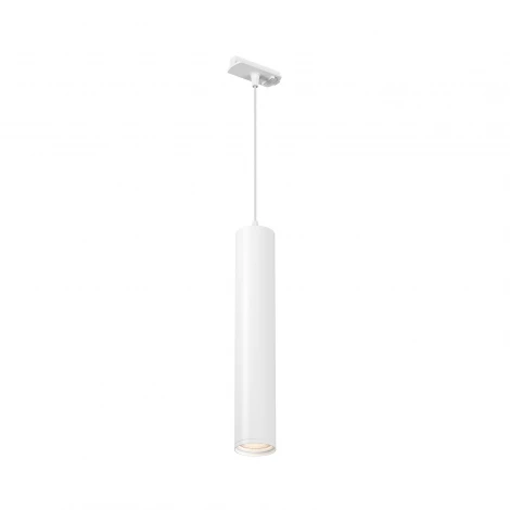 Трековый светильник Denkirs DK620 DK6210-WH (220V, круглые)