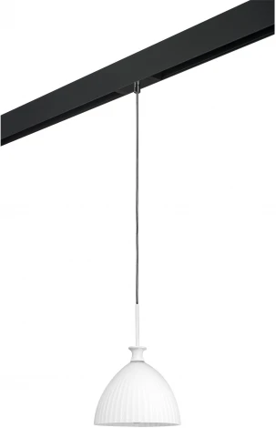 Трековый светильник однофазный 220V Lightstar Agola PRO810020