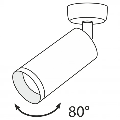 Потолочный светильник Focus GU10 1x50Вт Maytoni Technical C017CW-01GF