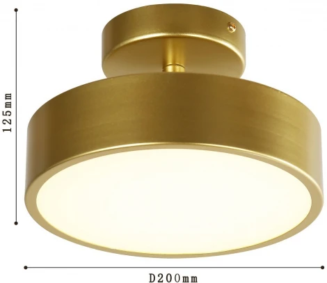 Потолочный светильник круглый F-Promo Atma 3059-2P (LED, 220V, круглые)