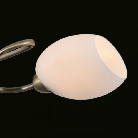 Потолочная люстра Фиеста 267014403