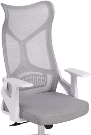 Компьютерное кресло Woodville Klif gray / white 15606
