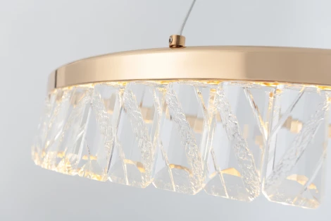 Подвесной светильник светодиодный Rivoli Erika 6131-101 (220V, на тросе, круглые)