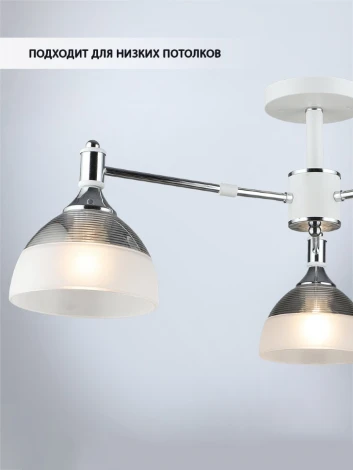 Потолочная люстра на штанге Wedo Light Alana WD3616/3C-WT-CR-WT