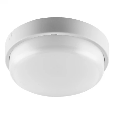 Настенно-потолочный светильник светодиодный Wolta ЖКХ ДБО01-12-001-6К 12Вт 6500К IP65 матовый