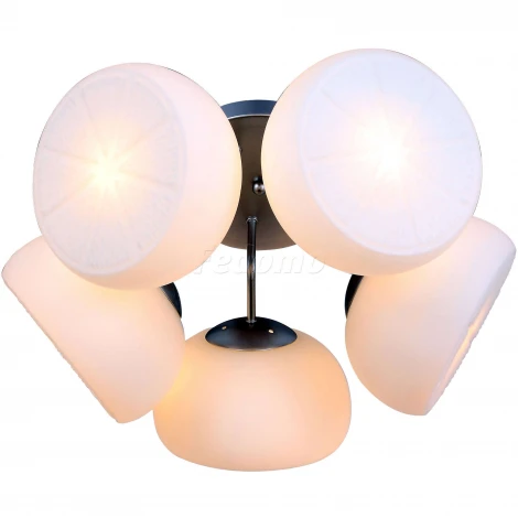 Потолочная люстра ST Luce Arancio SL482.502.05