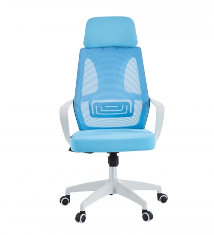 Офисное кресло Chairman CH636 белый пластик, синий