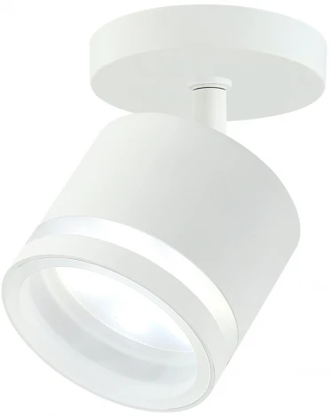 Спот Imex ARTA IL.0005.4501 WH