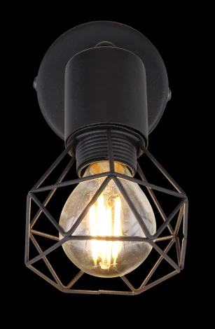 Спот Xara I 54802S-1 Globo (220V)