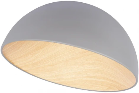 Потолочный светильник круглый светодиодный Loft It Egg 10197/500 Grey (220V, круглые)