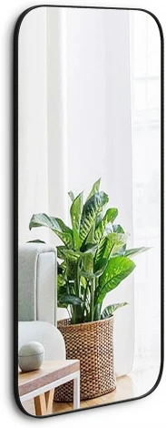 Зеркало Hola (МДФ,Зеркало/Черный) ОГОГО Обстановочка! арт.838250