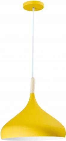 Подвесной светильник V1293-1P Eline 1*E27*60W (220V, на проводе, круглые)