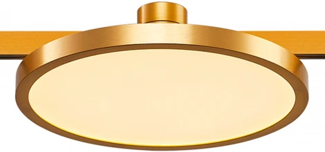 Магнитный трековый светильник ST Luce Farm ST818.206.12 (LED, 24V, круглые)