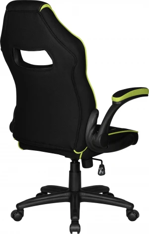 Кресло игровое DOBRIN RICK (черно-светло-зеленый)